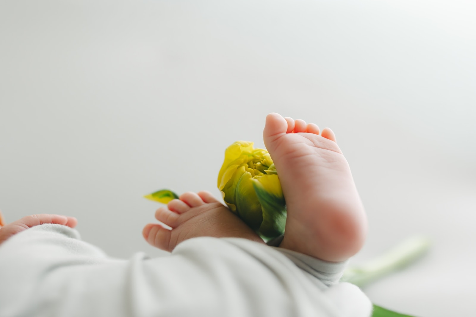 新生児の両足の接写 — 白い布の上で重ねた足の間に黄色いチューリップの花と緑の葉を添え、明るい背景で構成された画像。